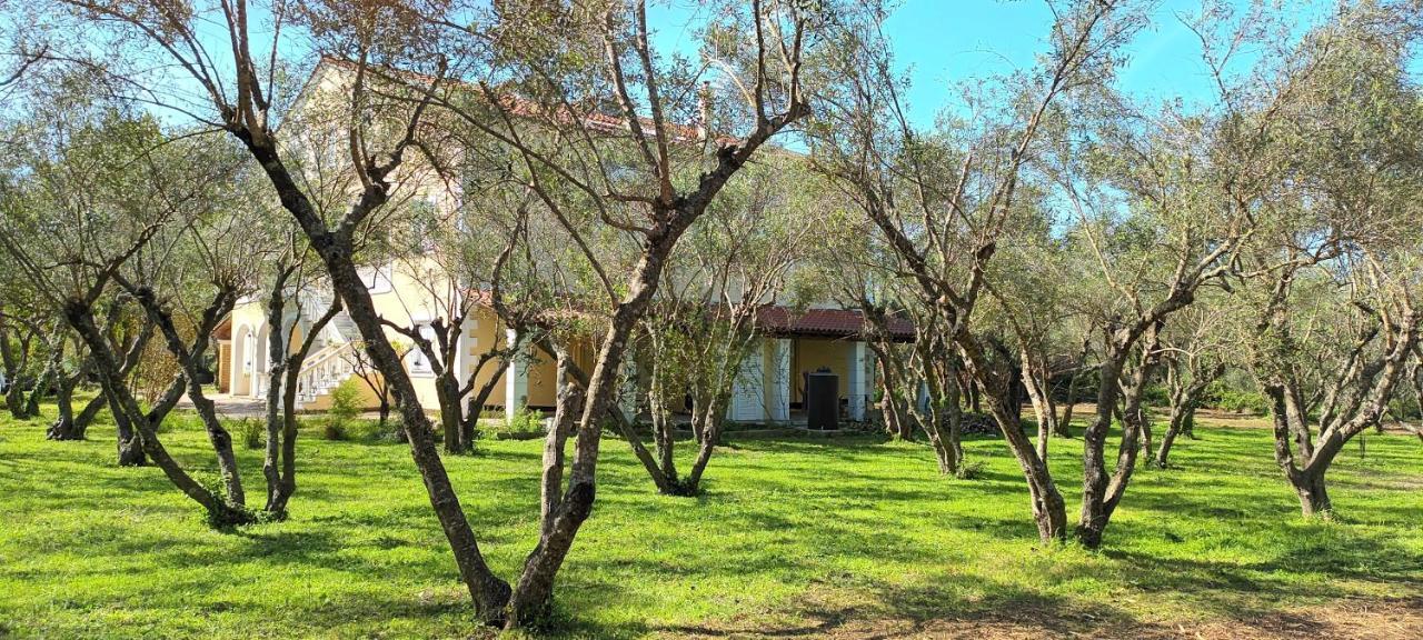 Antonios Olive Garden Acharavi Kerkyra Apartment Exterior photo
